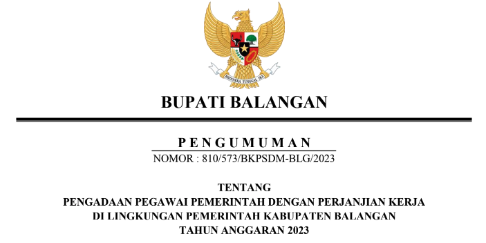 Pengadaan PPPK Tahun Anggaran 2023